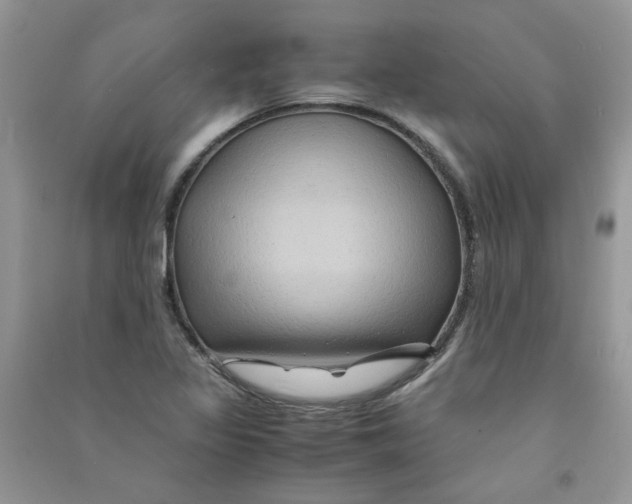 X0000090761317200708172039