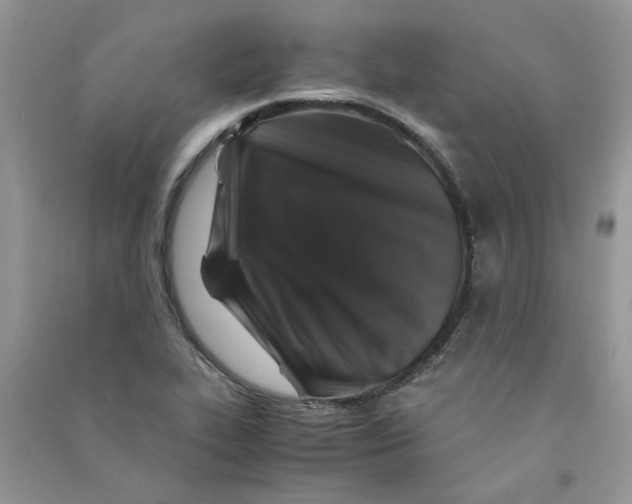 X0000090761319200708172039