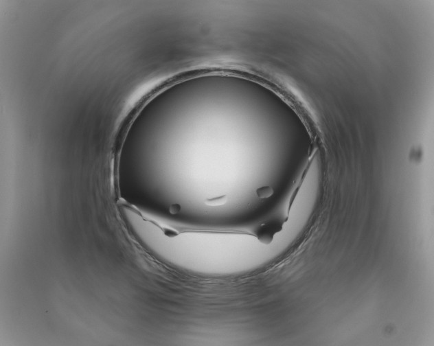 X0000090761320200708172039