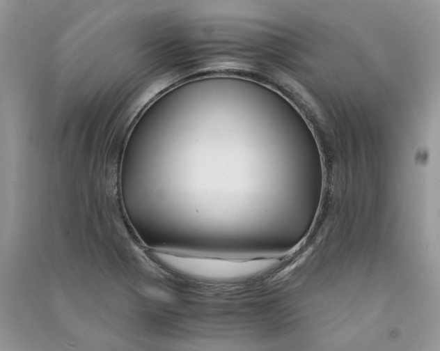 X0000090761321200708172039