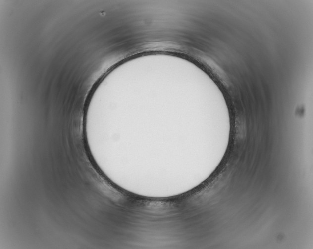 X0000090761322200708172039