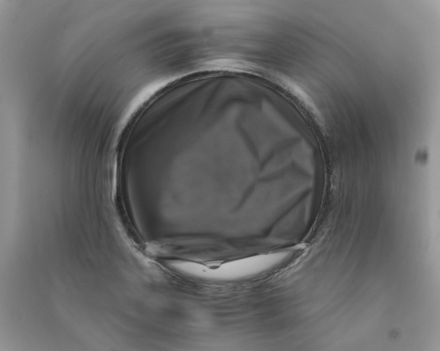 X0000090761323200708172039