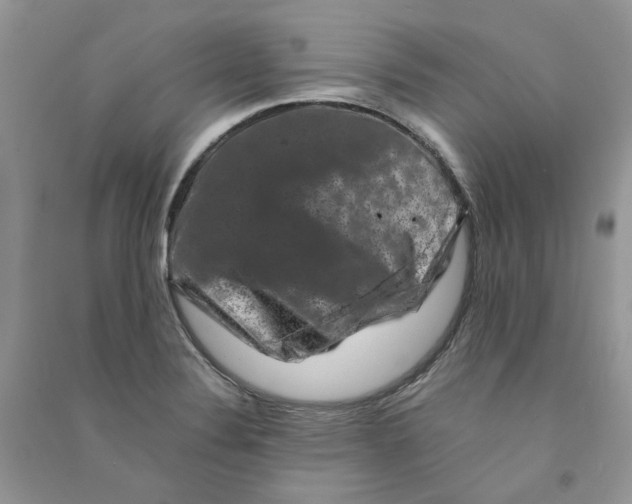 X0000090761324200708172039