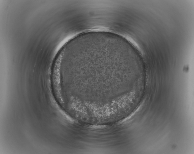 X0000090761325200708172039