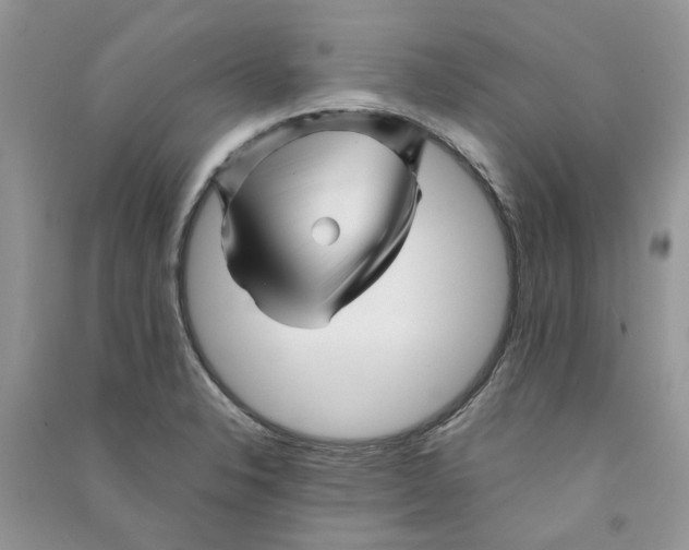 X0000090761326200708172039