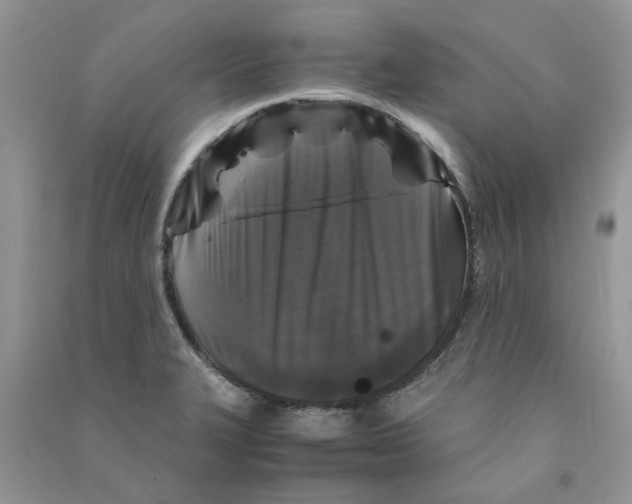 X0000090761327200708172039