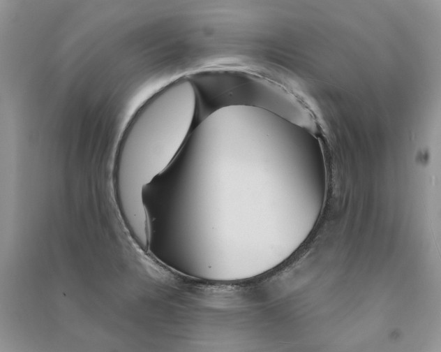 X0000090761328200708172039