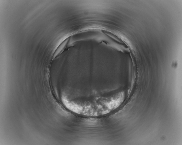 X0000090761329200708172039