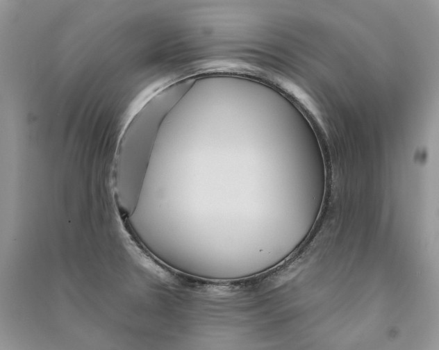 X0000090761330200708172040