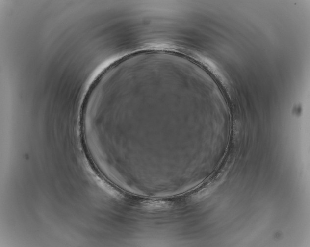 X0000090761331200708172040