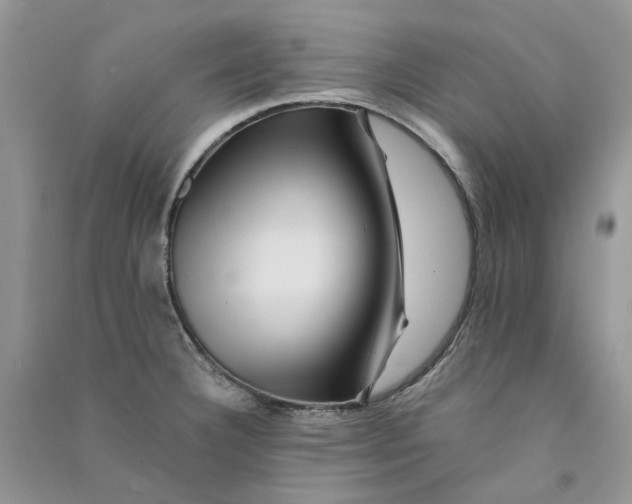 X0000090761332200708172040