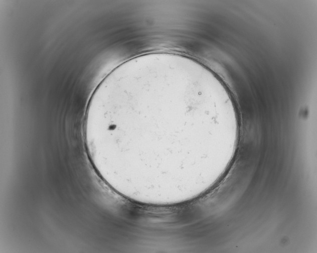 X0000090761338200708172040