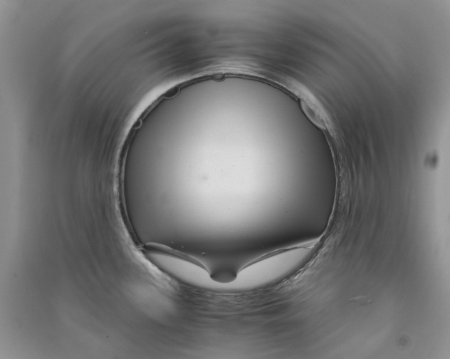 X0000090761339200708172040