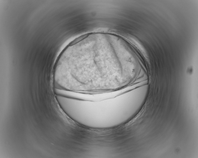 X0000090761340200708172040