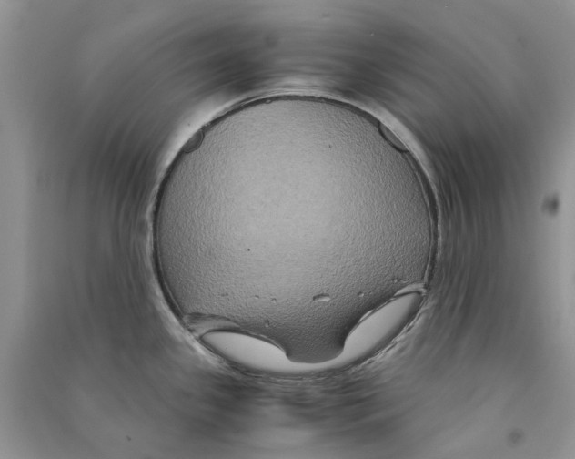 X0000090761341200708172040