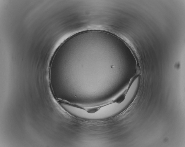 X0000090761342200708172040