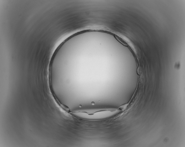 X0000090761343200708172040