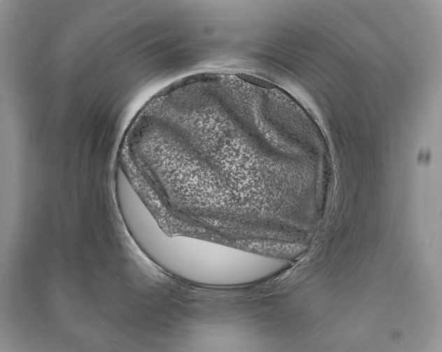 X0000090761344200708172040