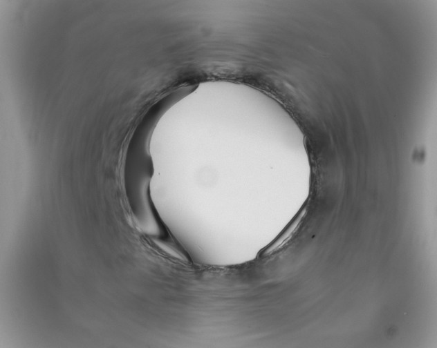 X0000090761345200708172039