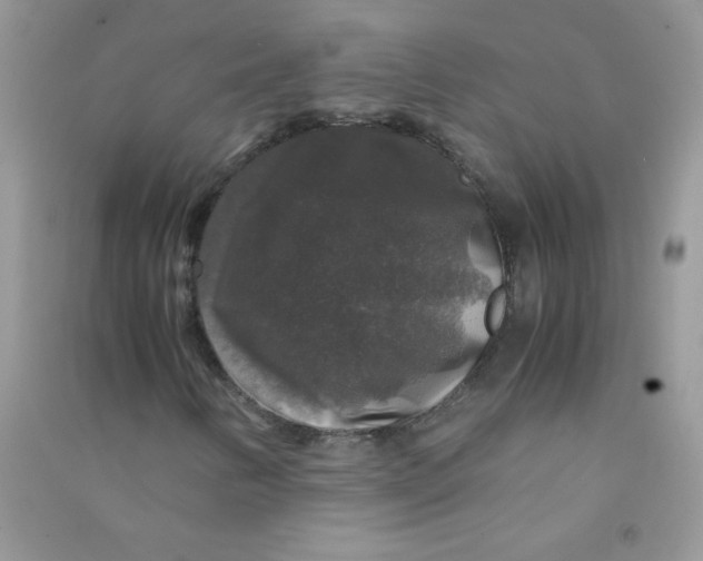 X0000090761346200708172039