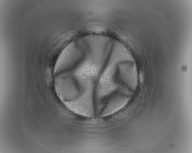 X0000090761347200708172039