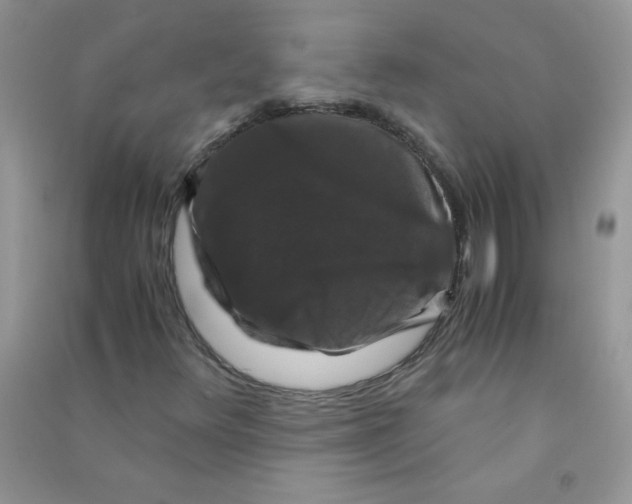 X0000090761348200708172039