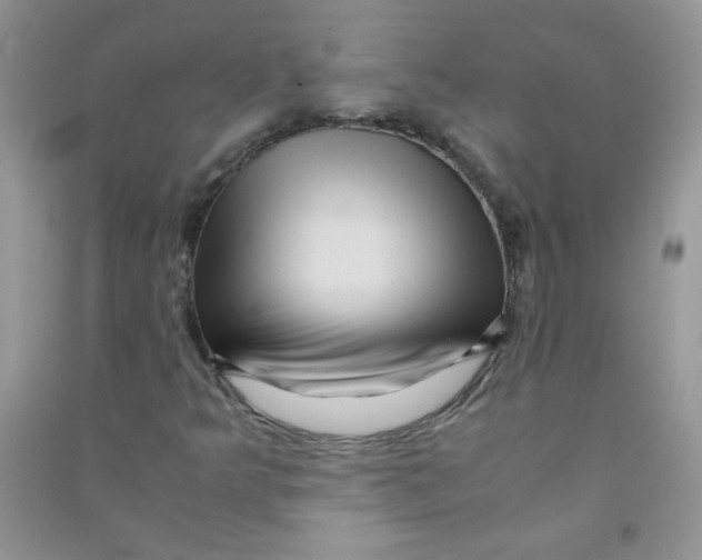 X0000090761349200708172039