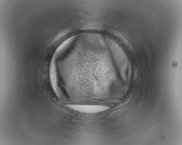 X0000090761350200708172039