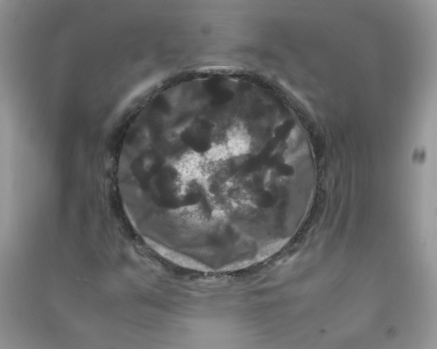 X0000090761351200708172039