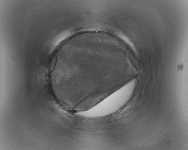 X0000090761352200708172039