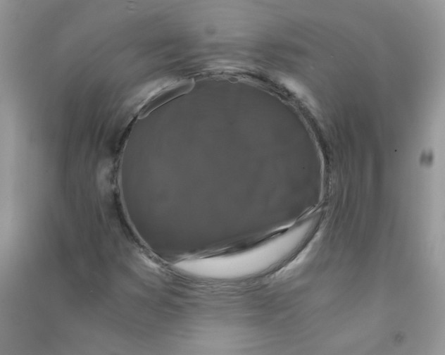 X0000090761353200708172039