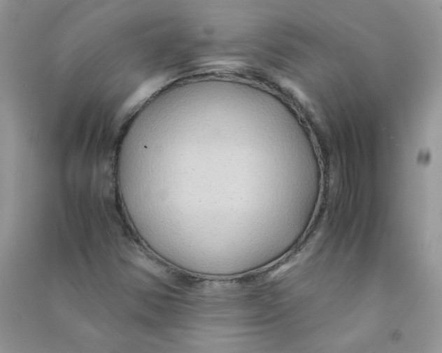 X0000090761354200708172039