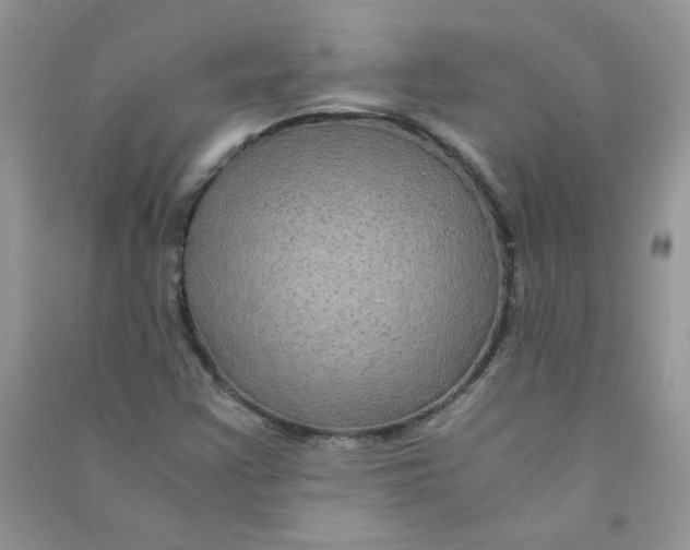 X0000090761355200708172039