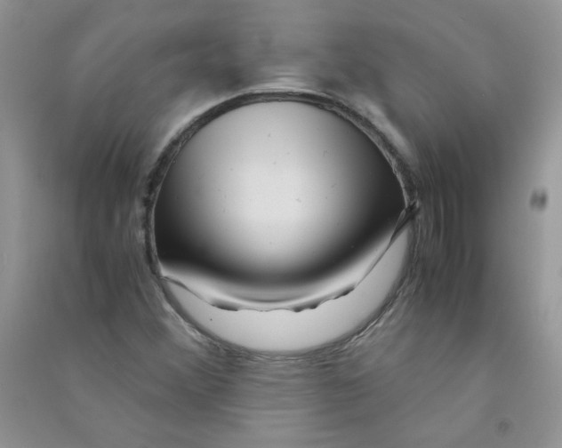 X0000090761356200708172039