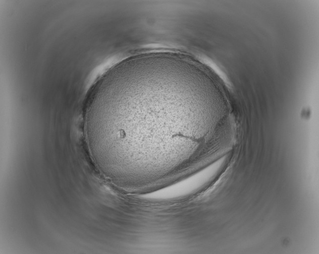 X0000090761357200708172039