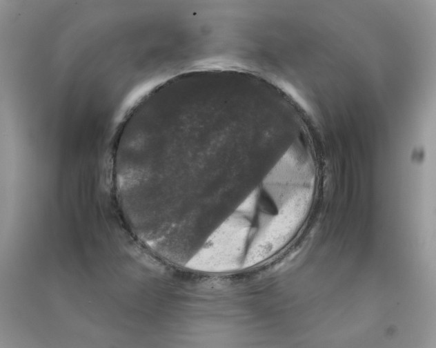 X0000090761358200708172039