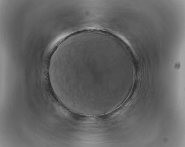 X0000090761359200708172039