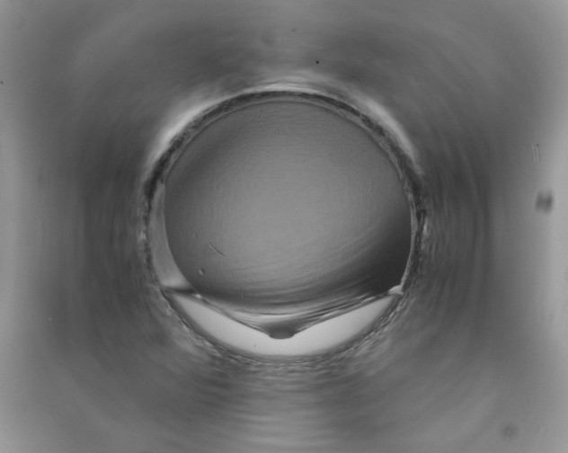 X0000090761360200708172039