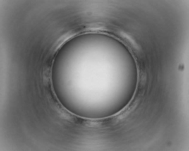 X0000090761361200708172039