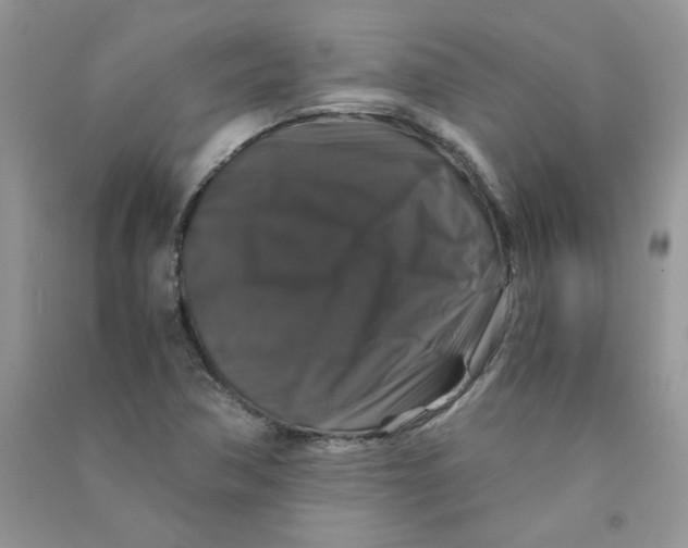 X0000090761362200708172039