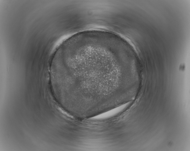 X0000090761363200708172039