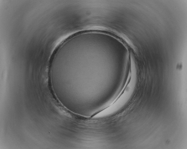 X0000090761364200708172039