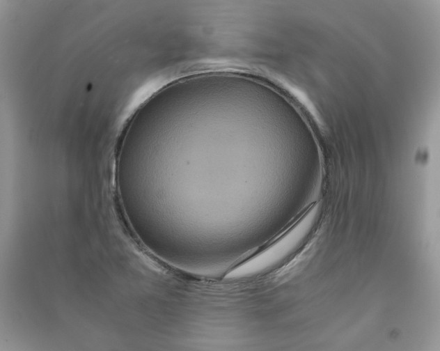 X0000090761365200708172039