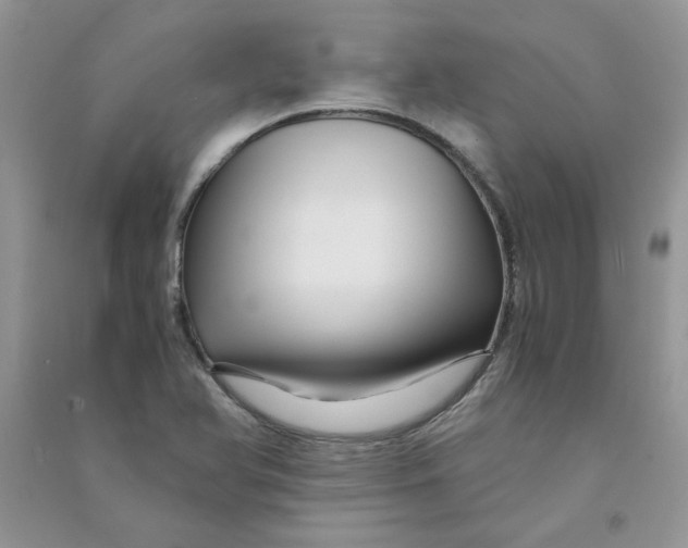 X0000090761366200708172039