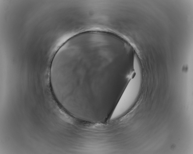 X0000090761367200708172039