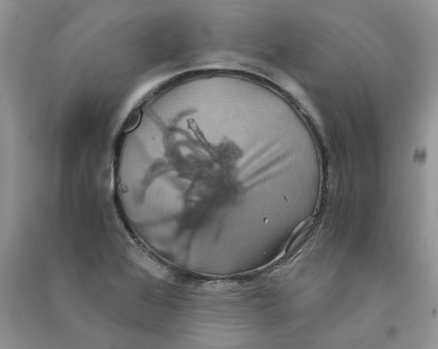 X0000090761368200708172039