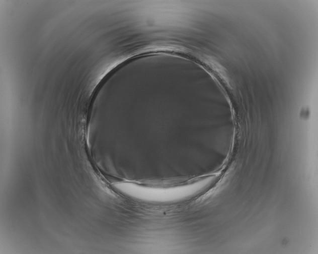 X0000090761369200708172039