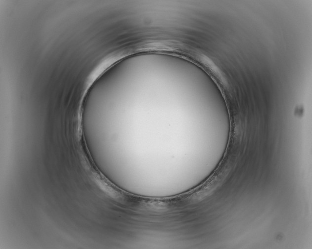 X0000090761370200708172039