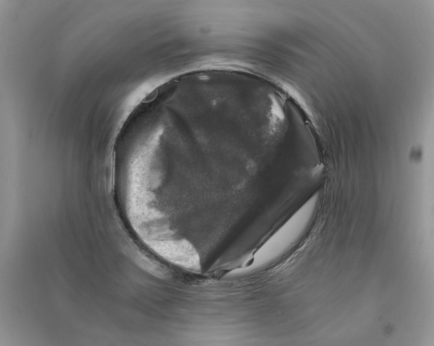 X0000090761371200708172039