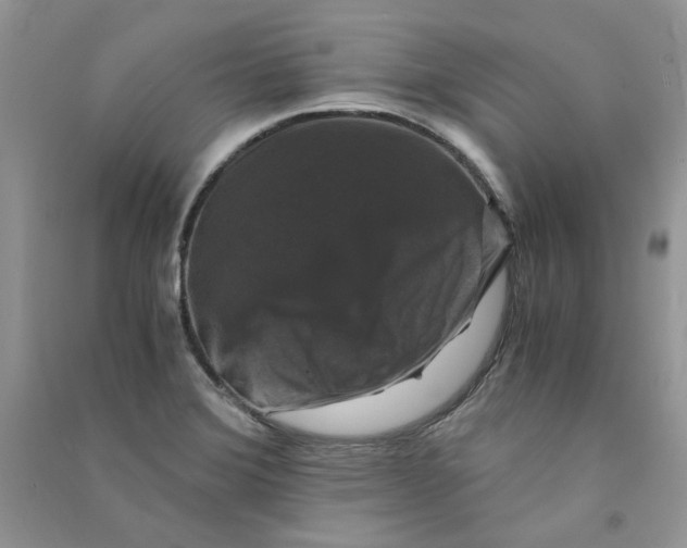 X0000090761372200708172039